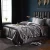 Import Luxury 100% Silk Bedding Pure Mulberry Silk Duvet Cover Set, Silk Sheets, Oeko-Tex Qualified from China