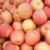 Import Fresh Apples Ready For Export from South Africa
