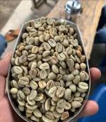 Robusta Dampit, East Java, Indonesian Coffee Beans