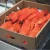 Import Atlantic Lobster from Canada
