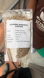 Robusta