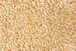 Sesame Seeds