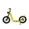500W48V13AH 2 wheels electric bikes scooter electric