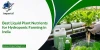Ammonium Polysulfide Solution