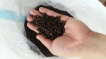 Premium Whole Black Pepper | Bulk Export Grade | Direct from the Philippines