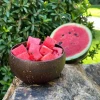 Coconut Shell Bowls for Kitchen Utensils