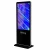 Import Floor standing 43 inch android video lcd advertising player kiosk touch screen totem digital signage display from China