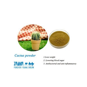 100% Organic San Pedro Cactus Extract,Cactus Plant Extract Powder 10:1