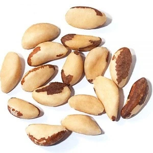 100% Pure Natural Peru High Quality Brazil Nuts Wholesale