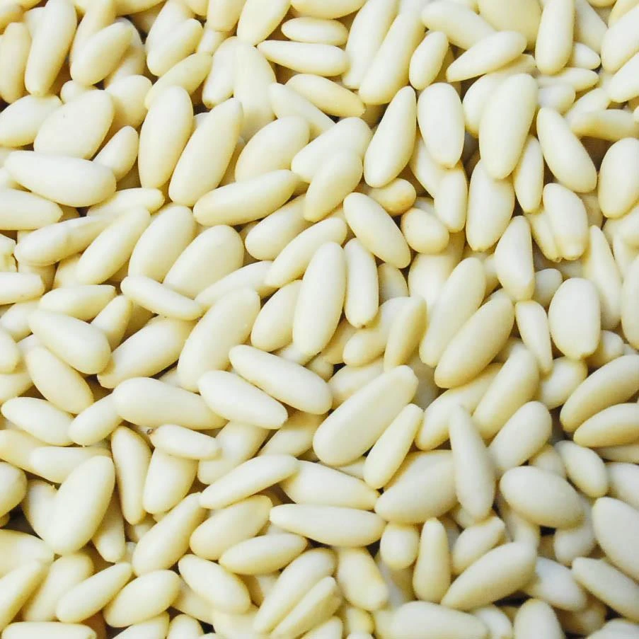 100% Pure Natural Rich Nutrition Pine Nuts Kernel Price