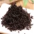 Import 10002 Hei ma yi High Quality black ant herbal medicine from China
