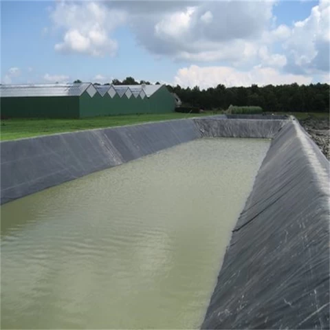 10mm thick 0.75 plastic smooth fish ponds liner Geomembranes film membrane hdpe 2 micron geomembrane