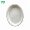 10&quot; OVAL PLATE