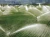 Import 1/2 PP 360degree adjustable Agricultural irrigation Sprinkler ,Irrigation sprayer from China
