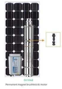 12 V DC solar water pump with MPPT controller
