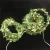 Import 2 Meters Leaf Garland Holiday Lamp Battery Powered LED Fairy String Lights For Christmas Wedding Party from China