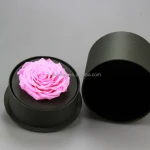 2016 Yiwu Aimee wholesale Valentine's Day gift preserved fresh cut flower(AM-PF04)
