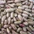 Import 2017 white kidney beans / butter bean / white bean from Thailand