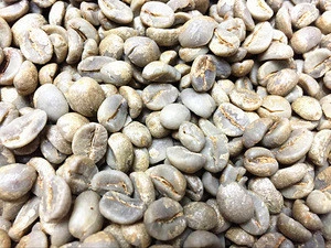 2018 New Season Harvest Arabica Catimor Coffee Bean Yunnan