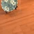 2019 Hot Sell ECO Forest Bamboo Flooring 100% Solid Bamboo For Indoor