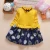 Import 2020 baby clothing dress Autumn Winter baby dress beautiful baby girl fairy skirt from China