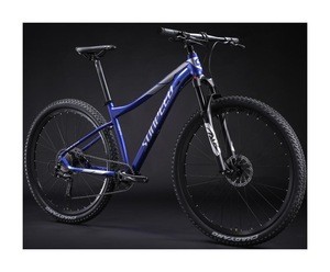 2020 China Bike 6061 Aluminium Frame MTB downhill  Mountain Bike