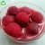Import 2020 Hot selling healthy Canned Red Bayberry from China