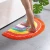 Import 2020 New trend rainbow semicircular waterabsorption bathroom carpet from China