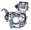 250cc Motorcycle Engine Single Cylinder 4 Stroke Water Cool Engine with Reverse Gear Engine Assembly for ATV Pit Dirt Bikes