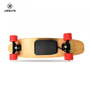250w  Adult Bicycle Remote Control Fishboard Skate Board  E Scooter