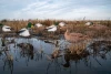 2D hunting decoys  hot selling waterproof PP mallard duck Silohoutte decoy