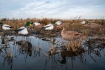 2D hunting decoys  hot selling waterproof PP mallard duck Silohoutte decoy
