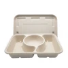 3 compartment biodegradable takeaway food box with lid