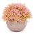 Import 3  Pcs Mini Potted Plants with  Small Artificial Succulents plants  For Decoration Office Home from China