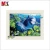 Import 3d pictures of Production Factory Horse New design hot selling 5d Picture Horse from China