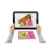 Import 4D AR animal cards vocabulary early learning educational game support multiple languages from China