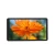 Import 5.5inch 720x1280 capacitive touch panel tft lcd display from China