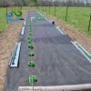 80gsm black color pp spunbond nonwoven fabric weed Mats ground cover in agricultural plastic product