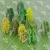 Import architecture model green plastic model tree for ho n scale train layout diorama building from China