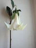 artificial flowers pure white angel&#39;s trumpet in pu material