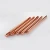 Import AUS standard earth rod/unthreaded copper bonded ground rod from China