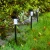 Import Auto On/off Outdoor Multilateral black lawn lamp IP65 Waterproof LED Solar Lawn Lights from China