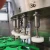 Automatic glass bottle fruit wine filling machine production line