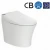 Import Automatic wash self operation concealed cistern electronic toilet from China