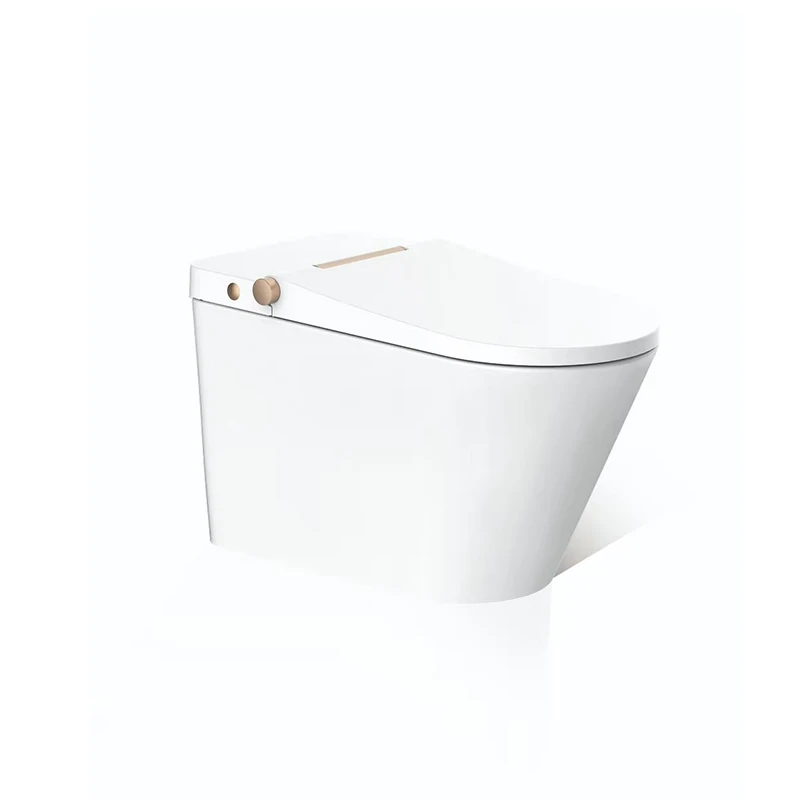 AXENT E314-0231H Crowd-Pleasing Smart Siphon Flushing Automatic Toilet