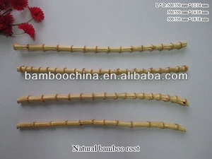 bamboo root