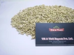 barley (Human Consumption) / barley (Animal Feed)