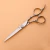 Import Beauty Hair Scissors Professional Barber Scissor  Silver Customized Tools Steel  Stainless  Style Packing Sharp from China