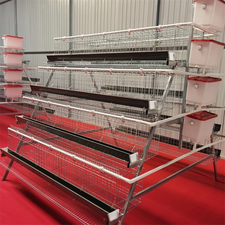 Best agricultural equipment design layer poultry chicken cage for sale