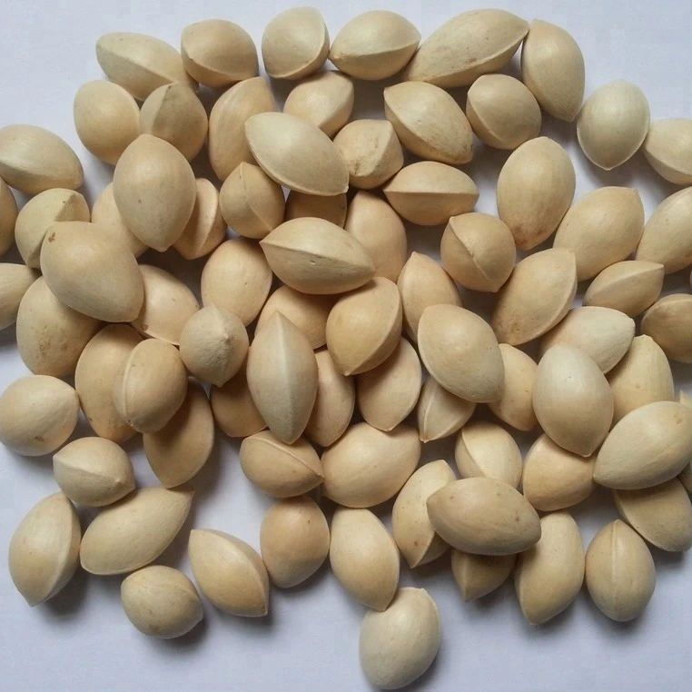 Best Quality Ginkgo Nuts For Sale